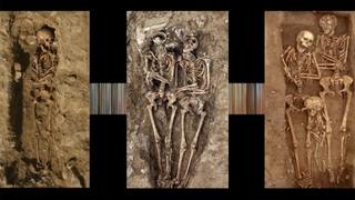 S1:E5 The Black Death (1347 A.D.)